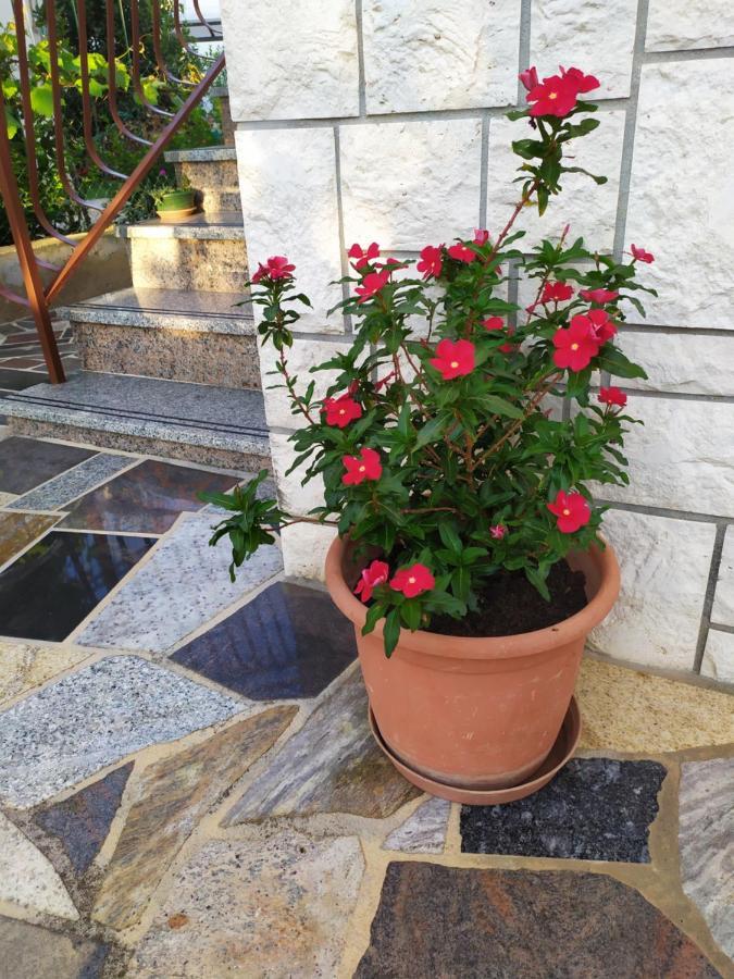 Apartments Samodol Vodice Zewnętrze zdjęcie